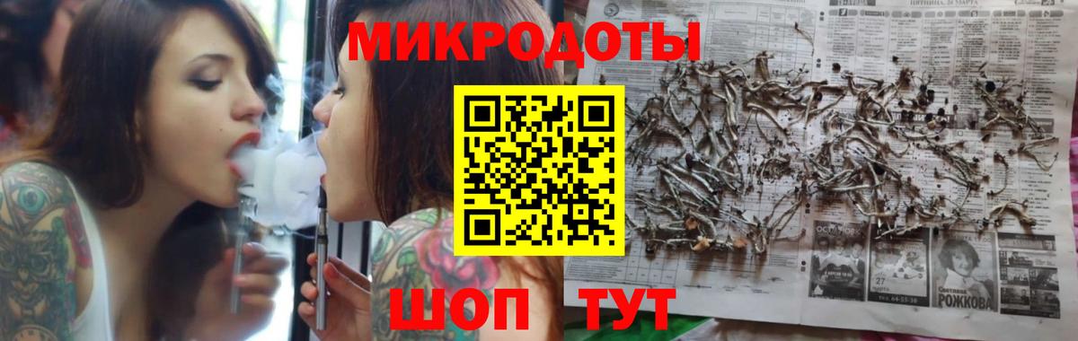Псилоцибиновые грибы Cubensis Электрогорск