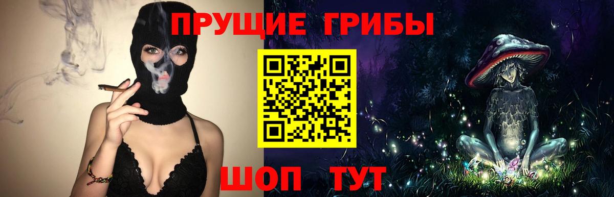Галлюциногенные грибы мицелий  Вход с VPN  Электрогорск 